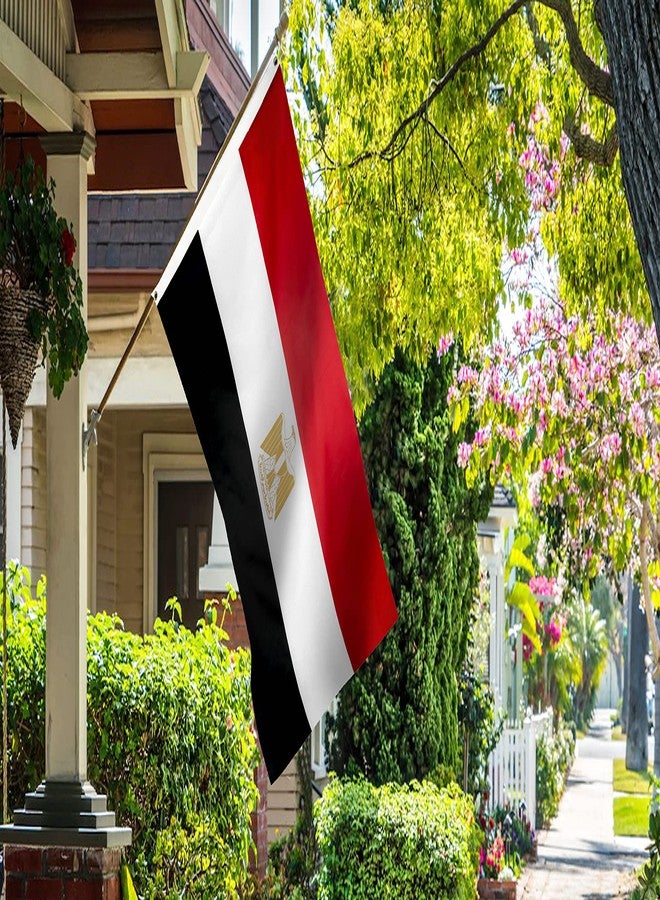 DANF FLAG DANF Egypt Flag 3x5 Foot Polyester Egyptian National Flags Polyester with Brass Grommets 3 X 5 Ft - Image 4